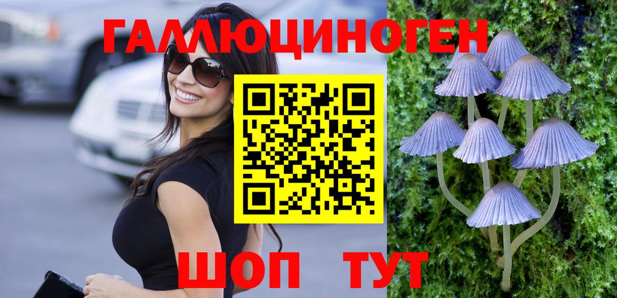 Псилоцибиновые грибы ЛСД Кашира